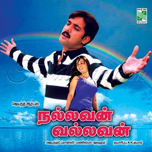 Nallavan Vallavan (2008) (Mani Sharma)